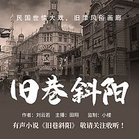 旧巷斜阳（民国文学大家刘云若代表作）