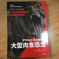 十大肉食恐龙比武