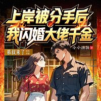 上岸被分手后，我闪婚大佬千金