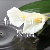 20天情绪舒缓冥想