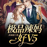 极品辣妈好V5