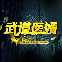 武道医婿(超多播剧)