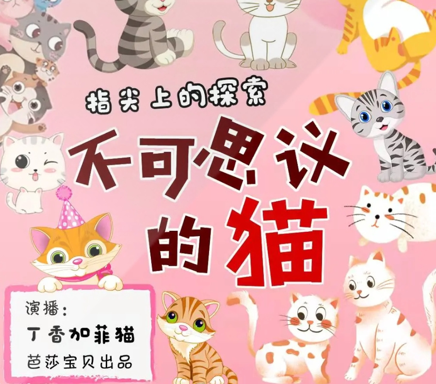 不可思议的猫/指尖上的探索/科普百科/十万个为什么