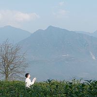道家经典诵读