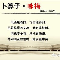 《卜算子·咏梅》