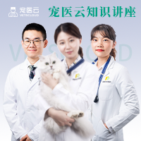 猫咪打喷嚏很常见，原因可能并不简单！