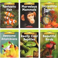 Science Vocabulary