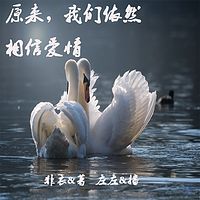 原来，我们依然相信爱情
