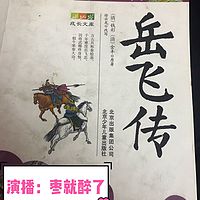 岳飞传 -纯免费 日更两回