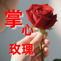 掌心玫瑰