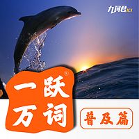 【每天5分钟】轻松牢记8000单词