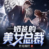 奶爸的美女总裁