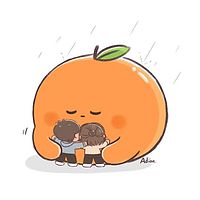 橘子暖宝