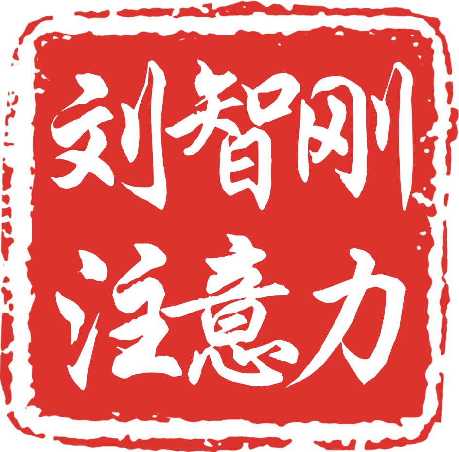 刘智刚专注力家庭训练