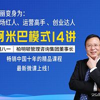 阿米巴经营14讲