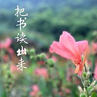 把书读出来