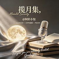 揽月集