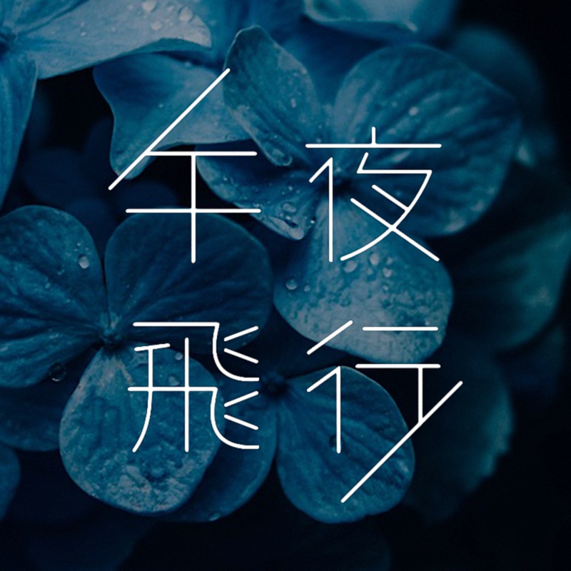 午夜飞行 | 心选电子音乐