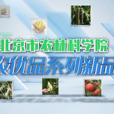 京农优品系列新品种