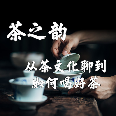 茶之韵：从茶文化聊到如何喝好茶