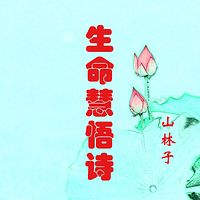 山林子【自然生命慧悟诗】鹤清智慧工作室