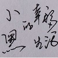 小黑的幸福小生活