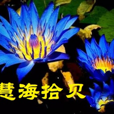 慧海拾贝