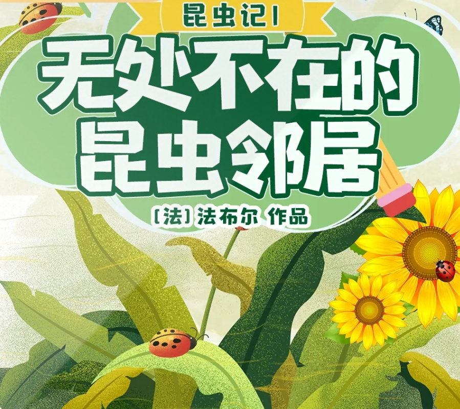 昆虫记|无处不在的昆虫邻居