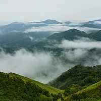 初二英语课外阅读