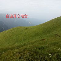 自由开心电台