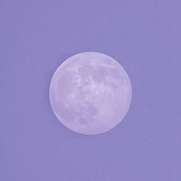 【情感树洞】月光下说晚安