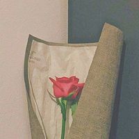 夜读