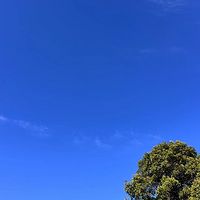 内在说明书
