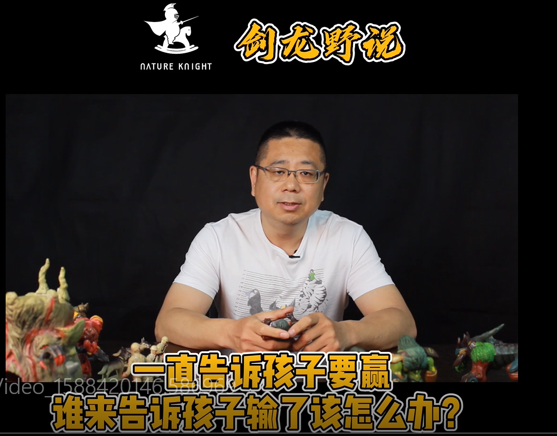 剑龙野说