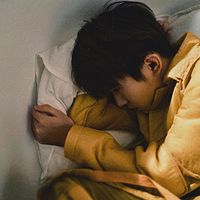 网购小鱼收到泰国鳄