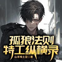孤狼法则:特工纵横录