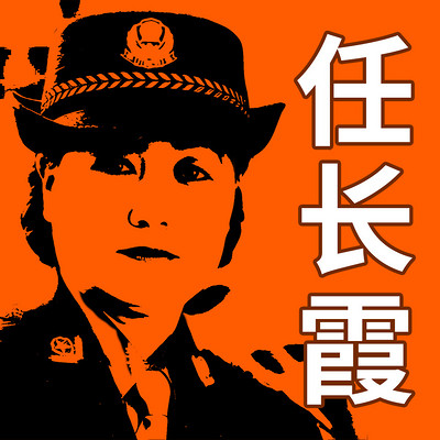 任长霞反腐大案纪实|公安局长车祸真相