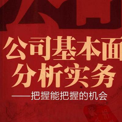 公司基本面分析实务 公司基本面分析实务