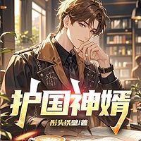 护国神婿丨战神丨权倾丨热血