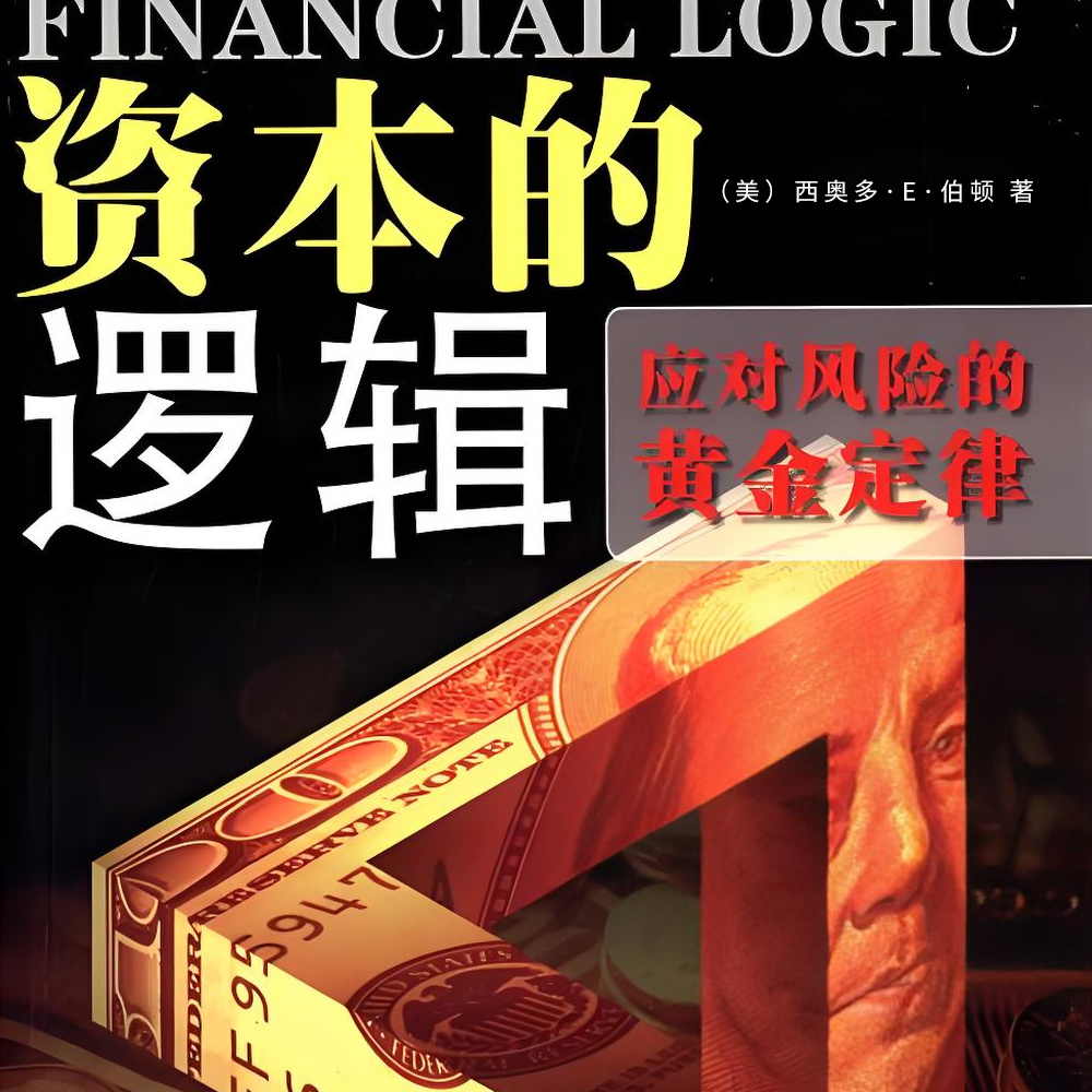 资本的逻辑：应对风险的黄金定律