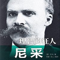 理智的狂人：尼采