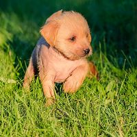 公益救助系列故事