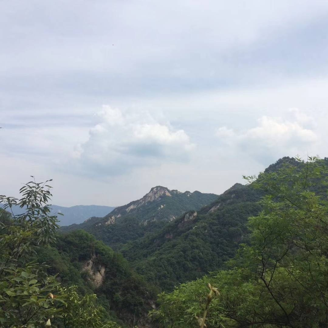 潇彬爱文学