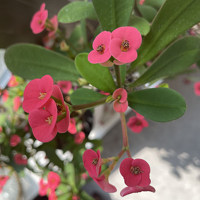 细节决定健康