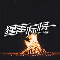 群星：《猩声标榜》VOL.5