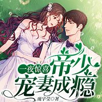 一夜惊喜，帝少宠妻成瘾|闪婚|豪门婚恋