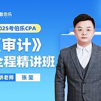 0基础学CPA审计