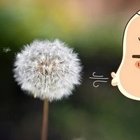 治愈人生