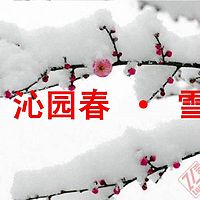 《沁园春·雪》