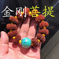 金刚菩提知识